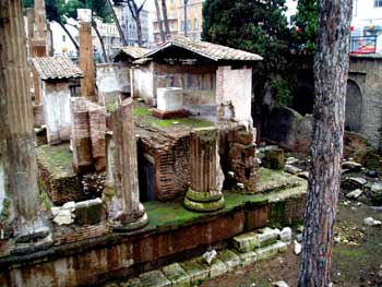 areasacra