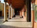 bologna