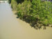 floodedtiber