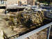 forum