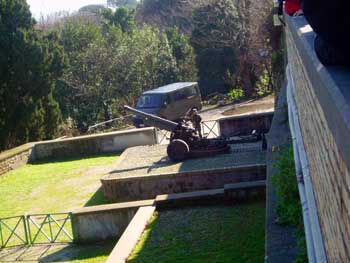 janiculum