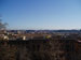 janiculum