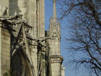 notredame
