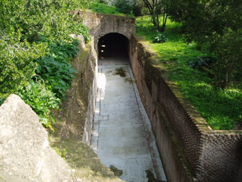 palatine